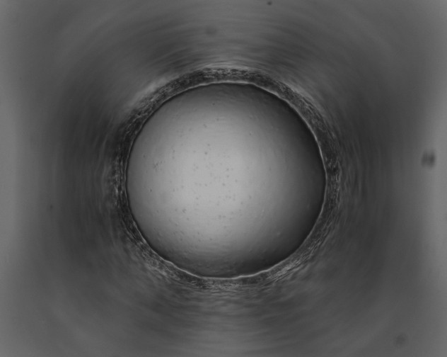 X0000091180870200708231526