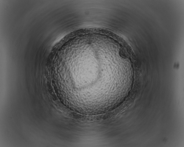 X0000091180871200708231526