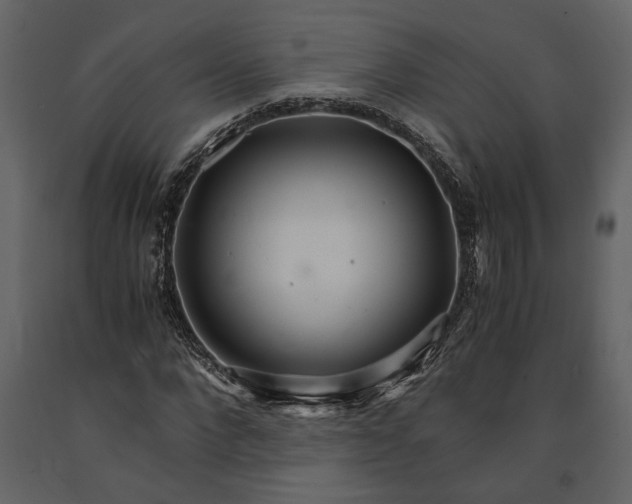 X0000091180872200708231526