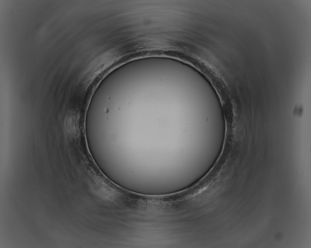 X0000091180873200708231526