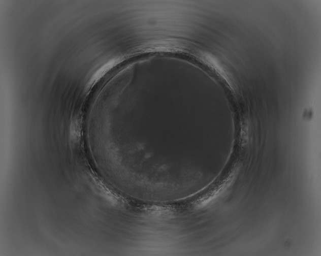 X0000091180874200708231526
