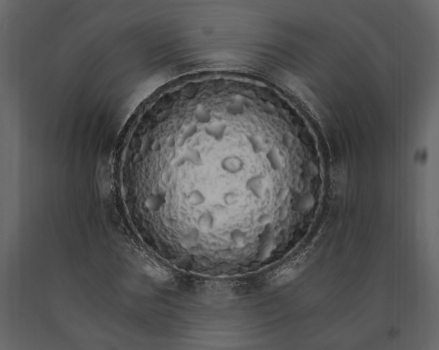 X0000091180875200708231526