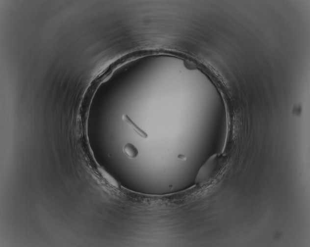X0000091180876200708231526