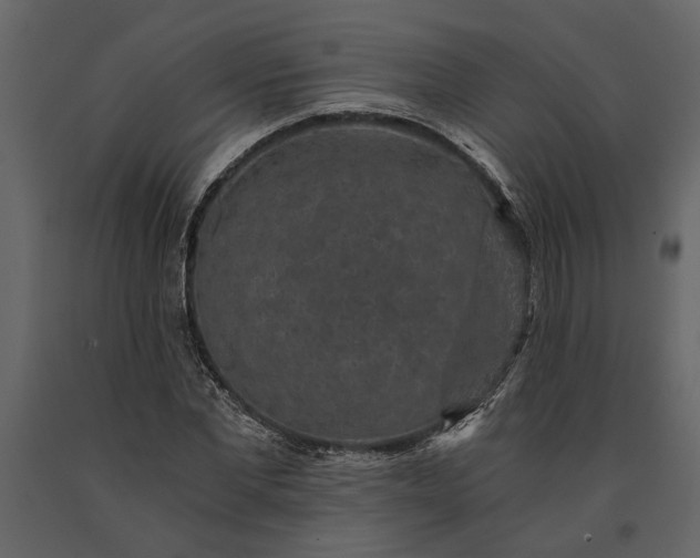 X0000091180877200708231526