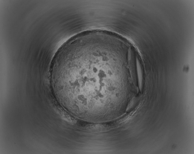 X0000091180879200708231526