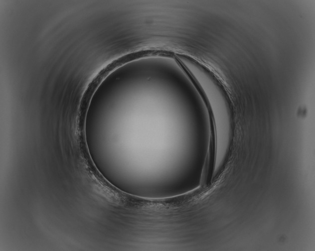 X0000091180880200708231526