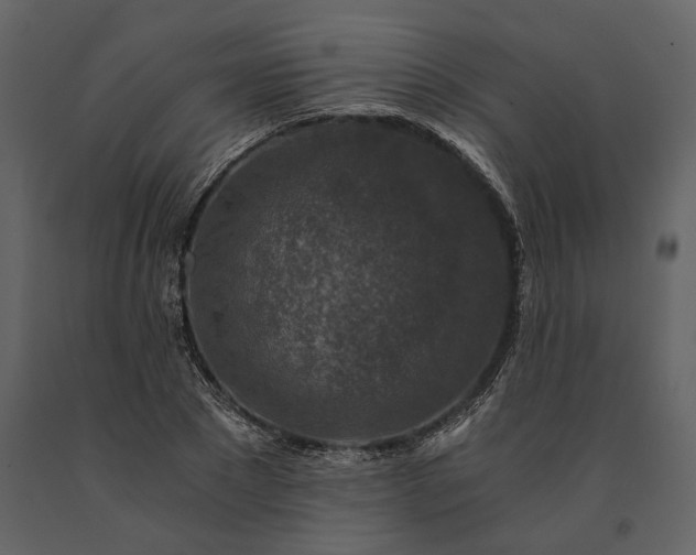 X0000091180881200708231526