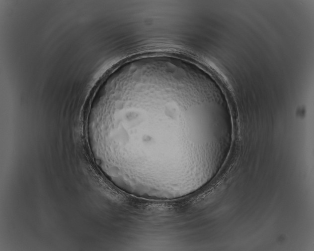 X0000091180883200708231526