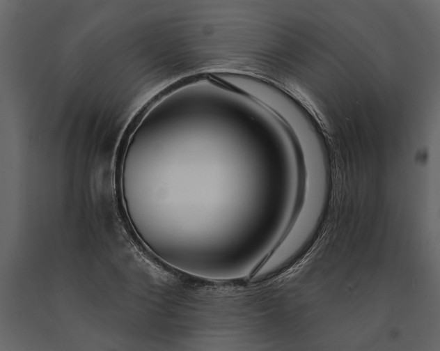 X0000091180884200708231526