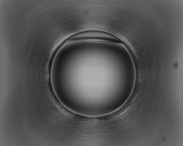 X0000091180885200708231526