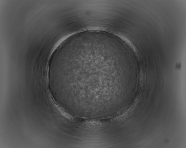 X0000091180886200708231526