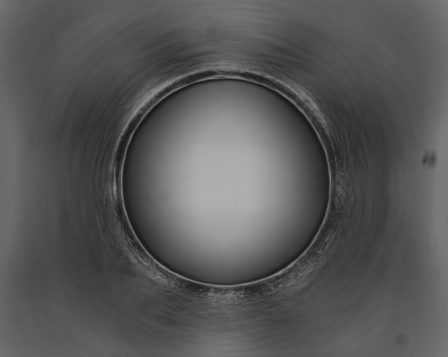 X0000091180887200708231526