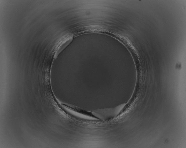 X0000091180889200708231526