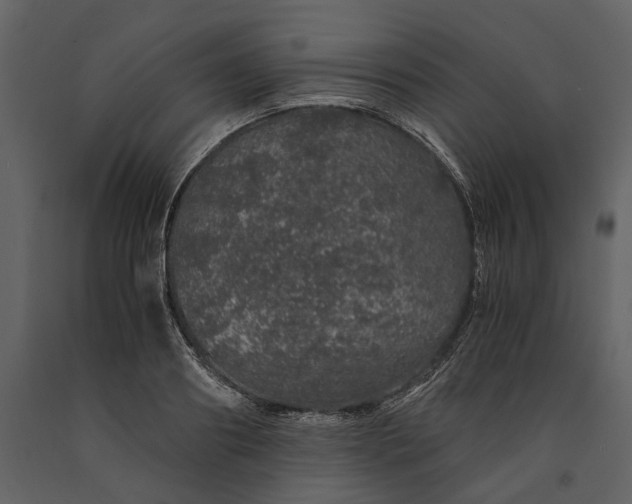 X0000091180890200708231526