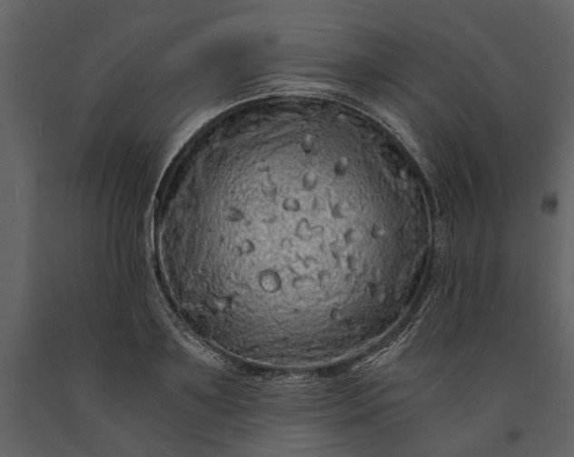 X0000091180891200708231526