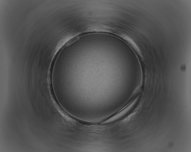 X0000091180893200708231526