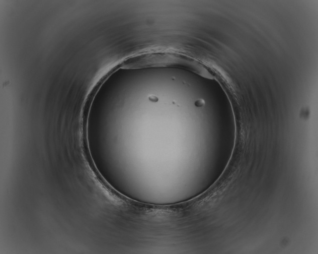 X0000091180894200708231526