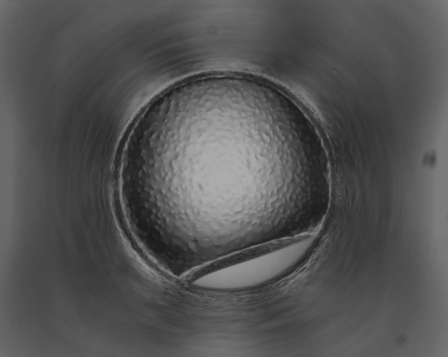 X0000091180895200708231526