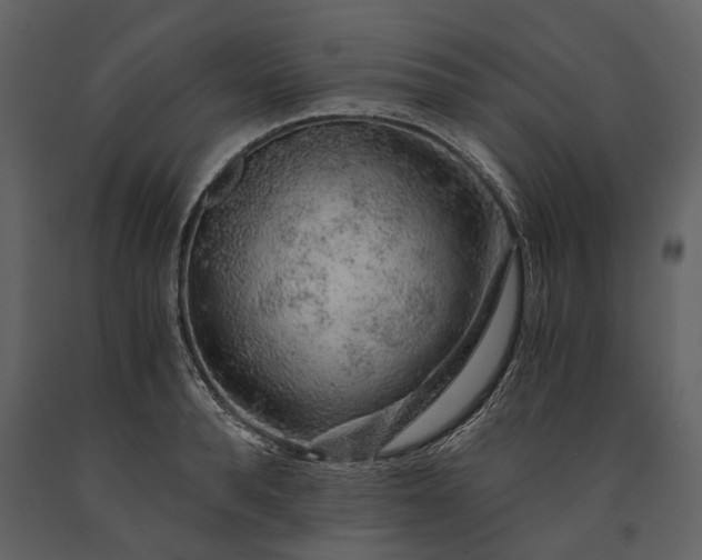 X0000091180896200708231526