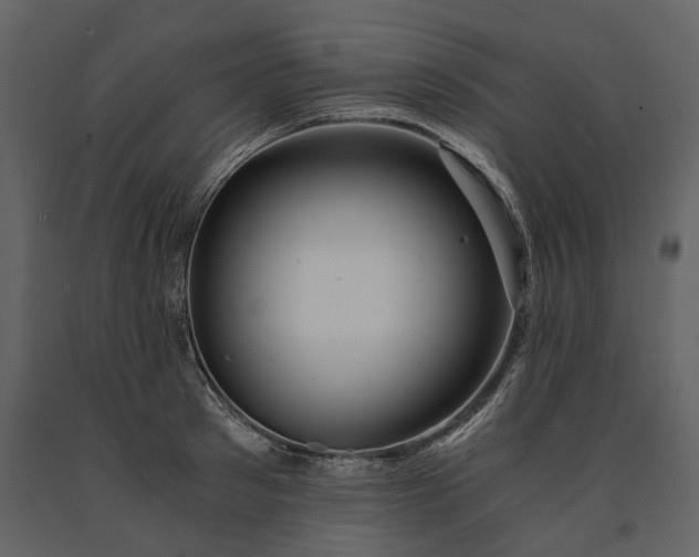 X0000091180897200708231526