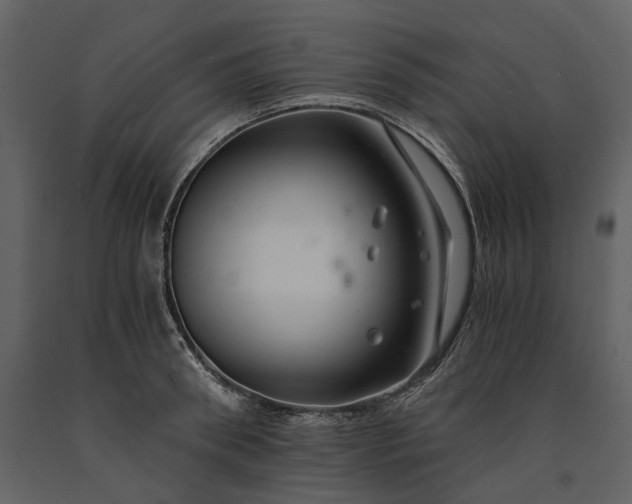 X0000091180898200708231526