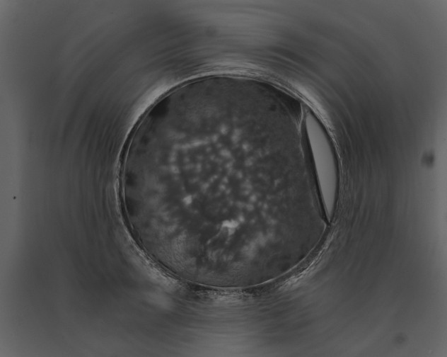 X0000091180899200708231526