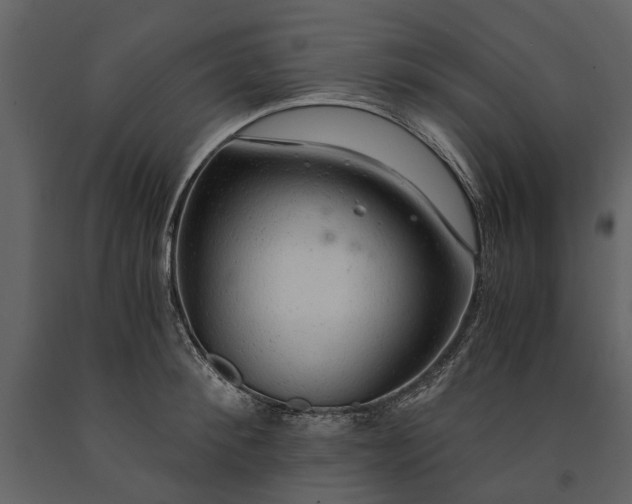 X0000091180900200708231526