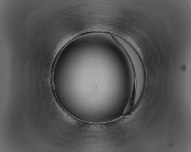 X0000091180901200708231526
