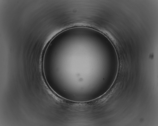 X0000091180902200708231526