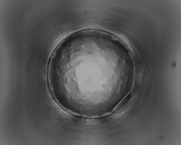 X0000091180903200708231526