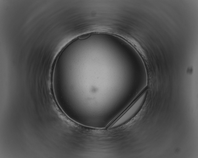 X0000091180904200708231526