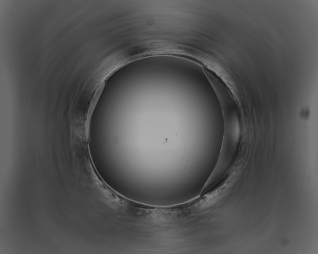 X0000091180905200708231526