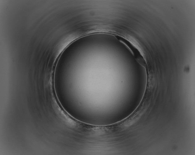 X0000091180906200708231526
