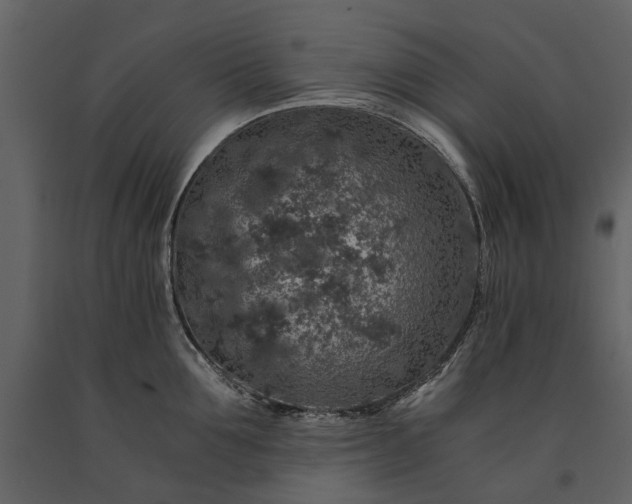 X0000091180907200708231526