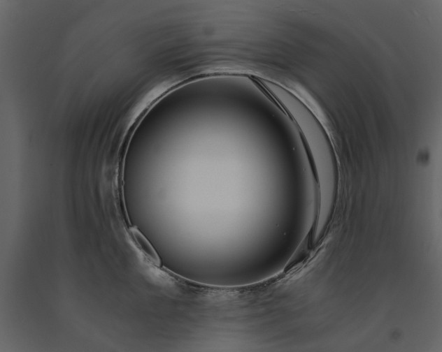X0000091180909200708231526