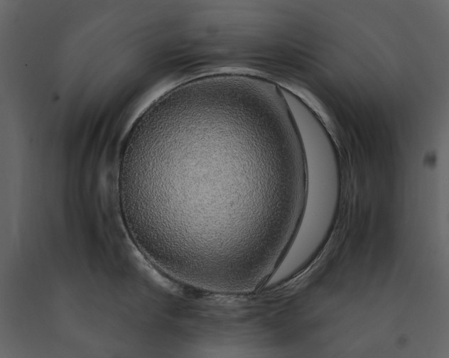 X0000091180910200708231526