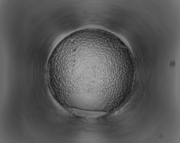 X0000091180911200708231526