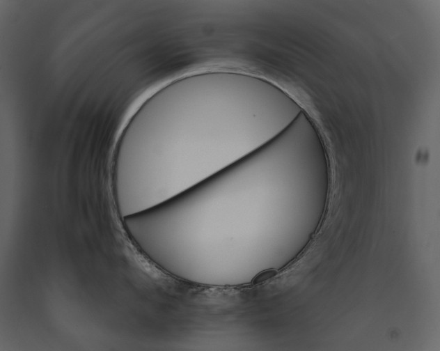 X0000091180912200708231526