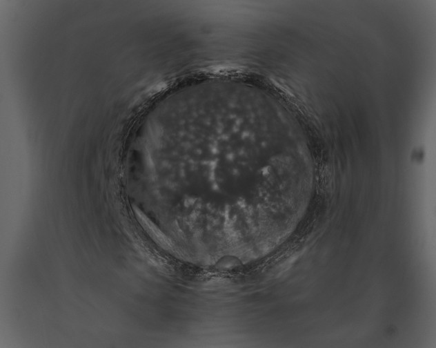 X0000091180913200708231525