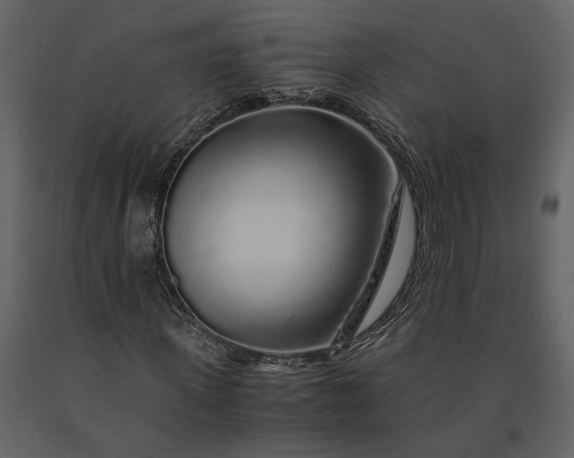 X0000091180915200708231525