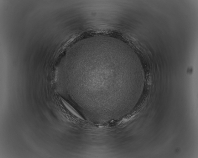 X0000091180916200708231525