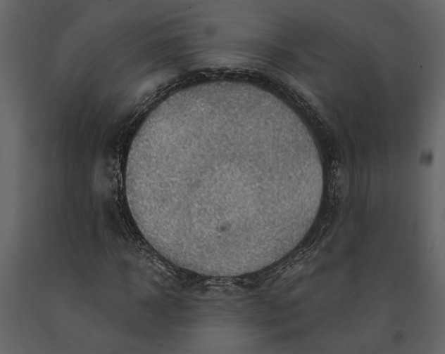 X0000091180918200708231525