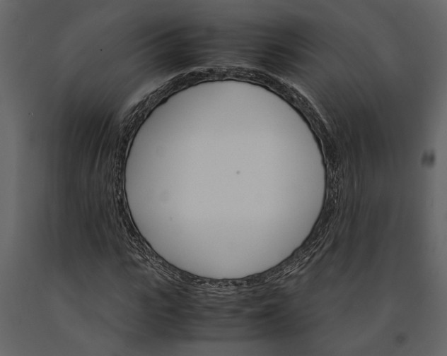 X0000091180919200708231525