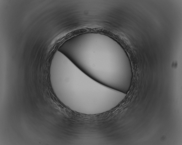 X0000091180920200708231525