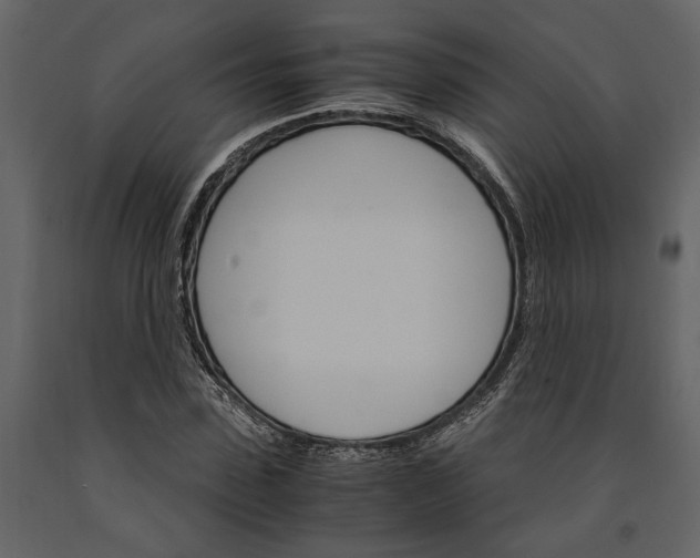 X0000091180923200708231525
