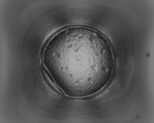 X0000091180925200708231525