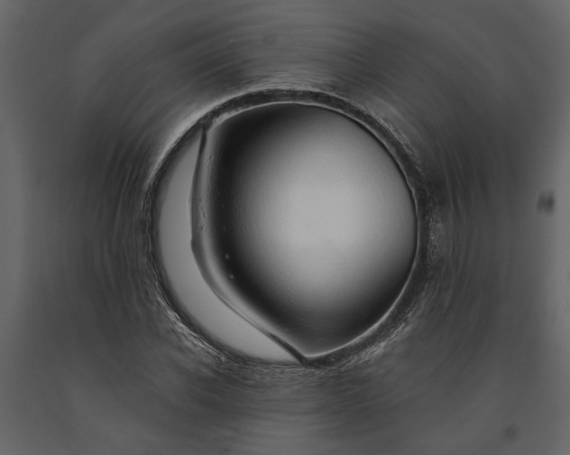 X0000091180926200708231525