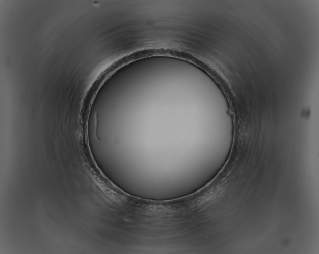 X0000091180927200708231525