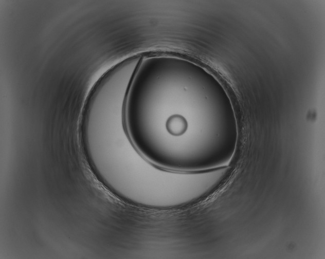 X0000091180928200708231525