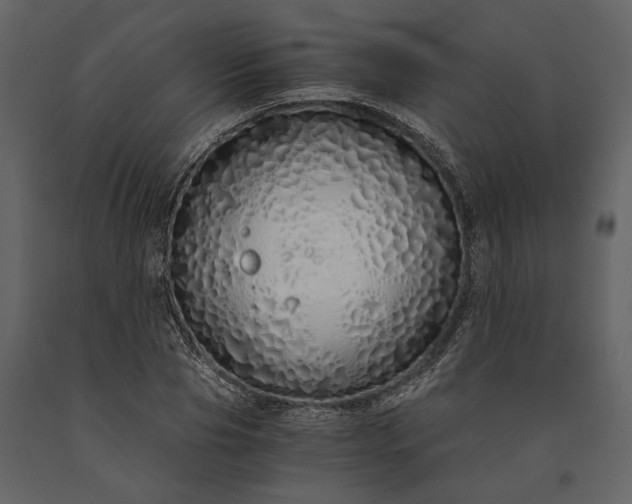 X0000091180929200708231525